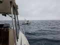 20160730_103207